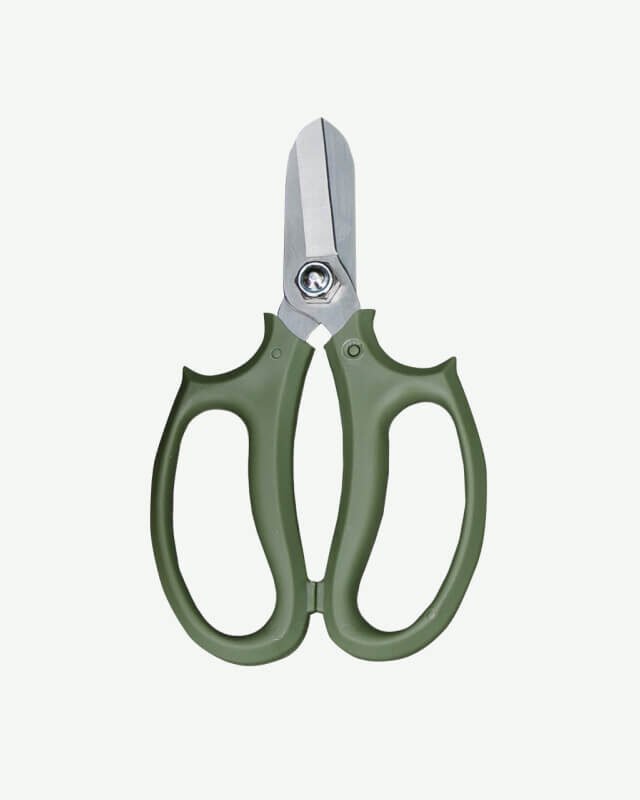 Straight Blade Scissor